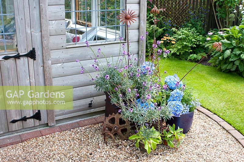 Wooden summerhouse in cottage garden with gravelled area and arrangement of pots with Hydrangea  Erysimum and metal flowers