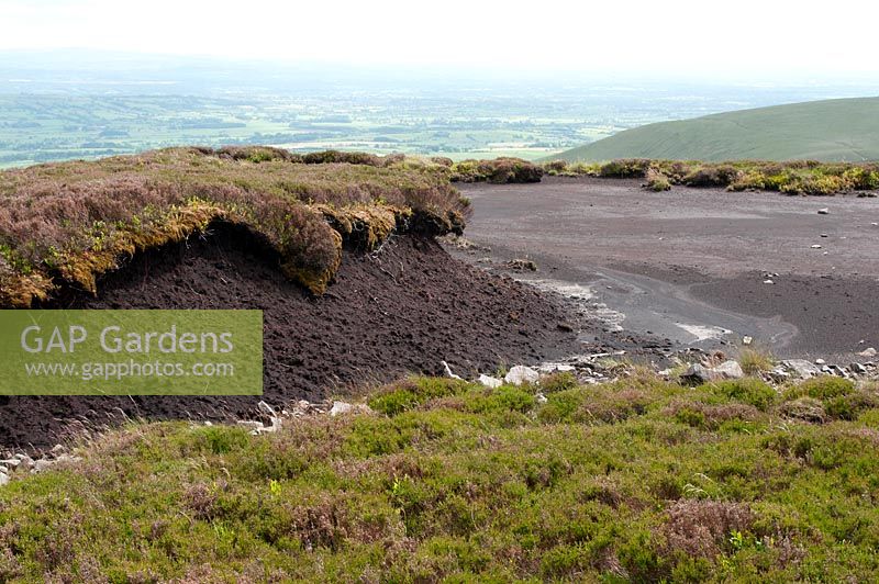 Peat erosion in Lancashire. Wet peat becomes saturated with water and starts to flow down slope