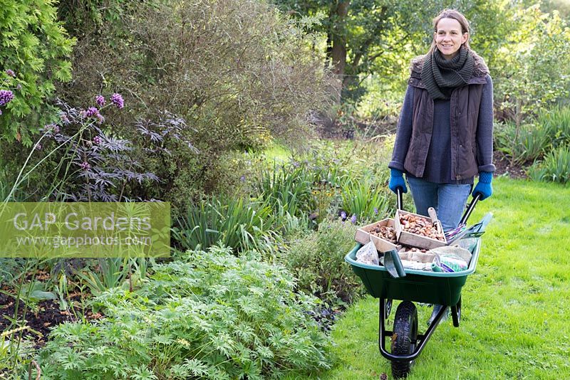 Woman moving wheelbarrow of garden tools and winter bulbs to plant out