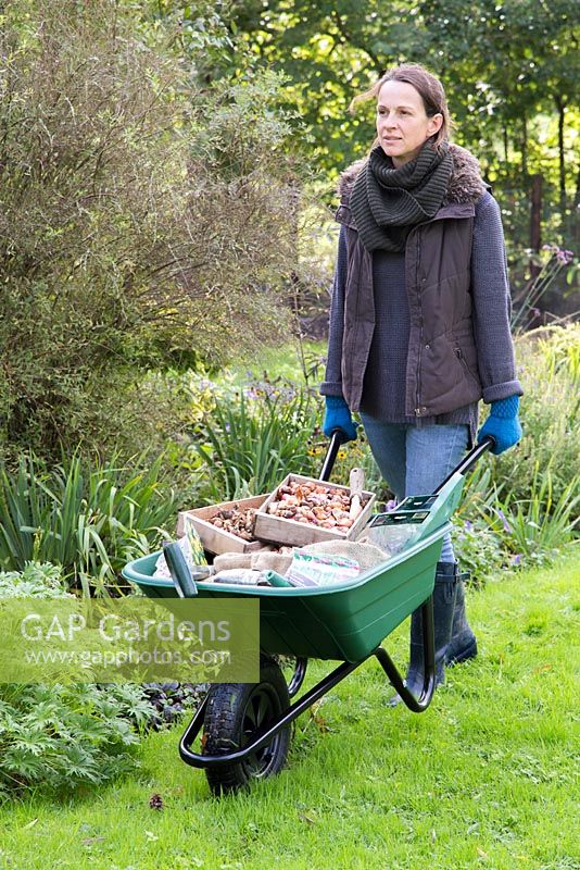 Woman moving wheelbarrow of garden tools and winter bulbs to plant out.