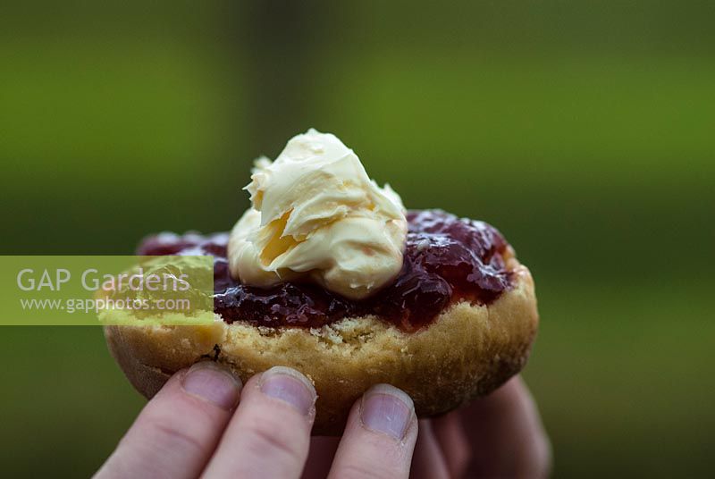 Tiptree 'Little Scarlet' Strawberry Jam on a scone with clotted cream in a child's hand.