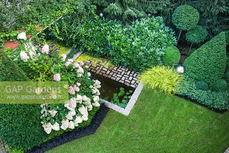 View to the garden from top level of the house. Small pond with granite setts border  amongst Buxus,   Rhododendron 'Cunningham's White', Carex oshimensis 'Everillo', Pachysandra terminalis, Lysimachia nummularia 'Aurea', Hydrangea paniculata 'Limelight', Ilex crenata 'Golden Gem', Ophipogon planiscapus 'NIgrescens'.