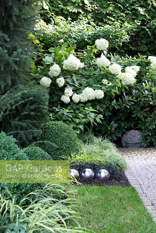 Three reflective silver balls amongst Carex and Hydrangea 'Limelight' 