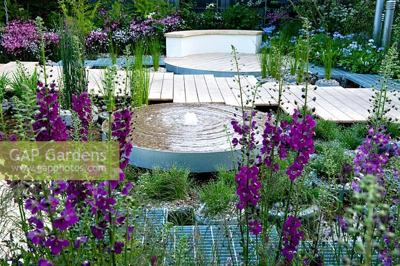RBC Blue Water Roof Garden. Gold medal. RHS Chelsea Flower Show 2013. Circular water feature with planting including Verbascum phoeniceum 'Violetta'