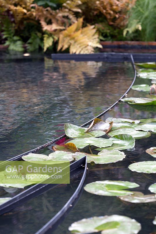 Water feature with lily pads 