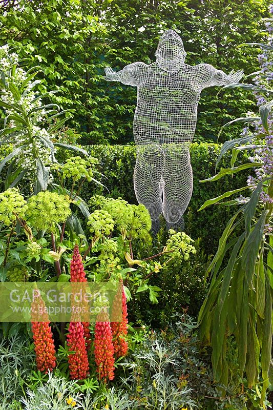 Sculpture 'Libertine' by Michelle Castles in The Arthritis Research UK Garden. Planting includes Angelica gigas, Echium, Lupinus 'Masterpiece' and Buxus sempervirens