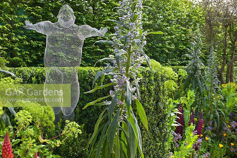 Sculpture 'Libertine' by Michelle Castles in The Arthritis Research UK Garden. Planting includes Angelica gigas, Echium, Lupinus and Buxus sempervirens