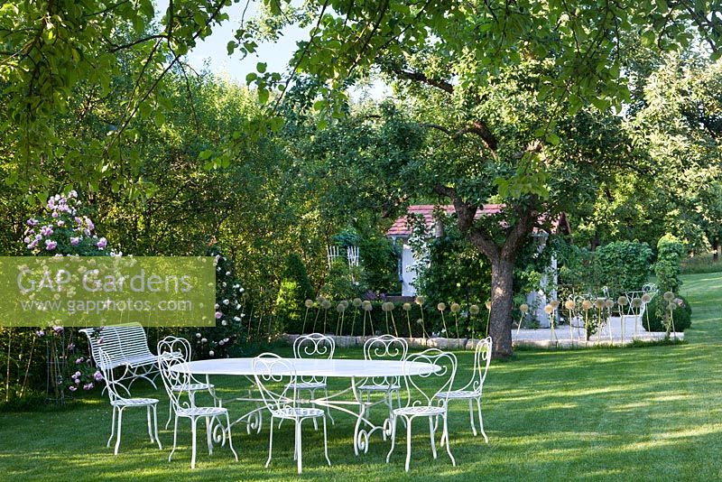 Rosa 'Jasmina', white metal chairs and table in front of a garden house