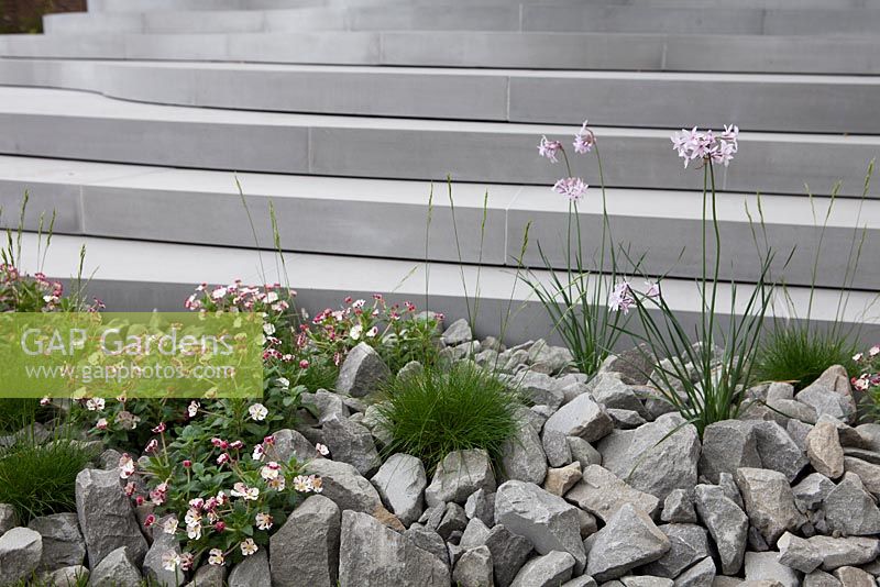 Stone steps and rock garden 