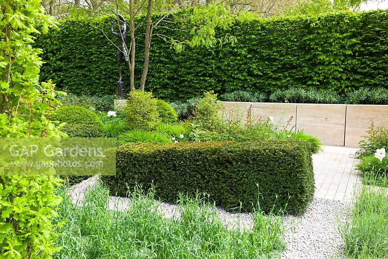 A wedge shaped hedge of Taxus baccata in The Laurent Perrier Garden