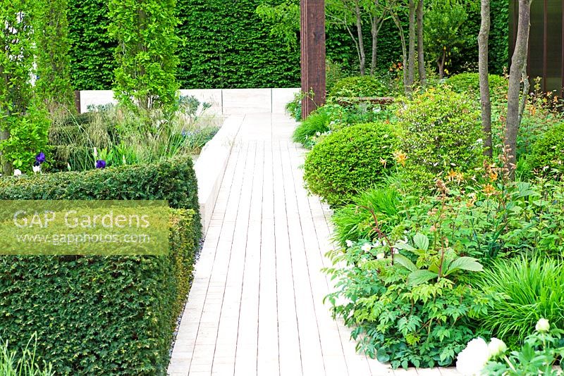 The Laurent Perrier Garden - pathway between borders and topiary 