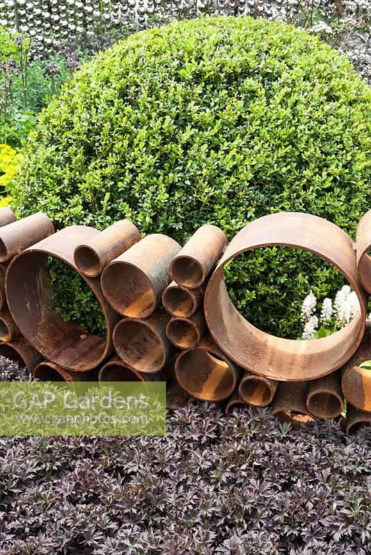Honeycomb structure of cylindrical corten steel in The SeeAbility Garden. Planting includes: Buxus sempervirens