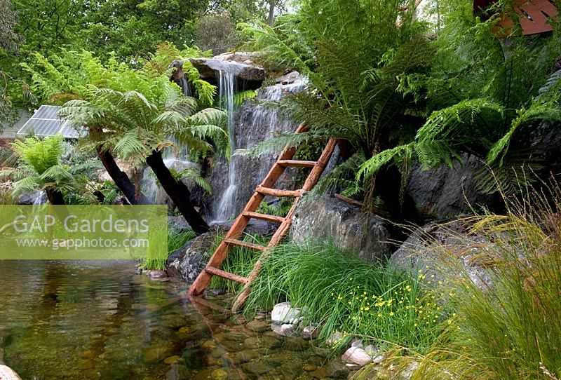 Trailfinders Australian Garden, Chelsea Flower Show 2013. Native Australian planting surrounding pond and waterfall