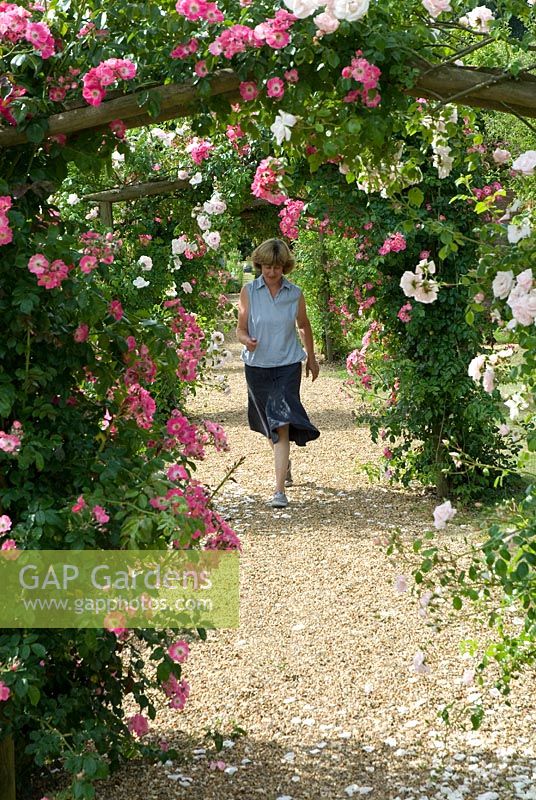 Sue Wooster owner of Bellflower Nursery, in the other part of the walled garden, under the rose arches with Rosa 'American Pillar' at Langham Herbs, Walled Garden, Suffolk. July