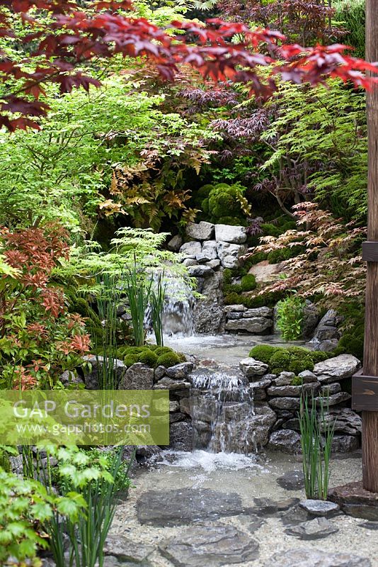 An Alcove - Tokanoma Garden with waterfall irises and acers 