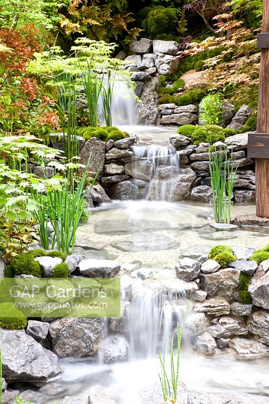 An Alcove Garden with waterfall and Acer palmatum 