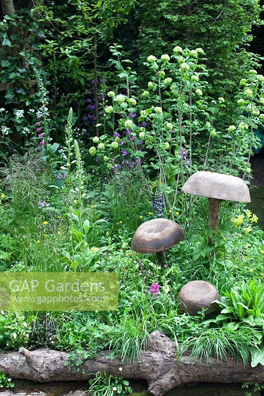 Wooden mushroom sculptures in the Motor Neurone Disease - a Hebridean Weavers Garden