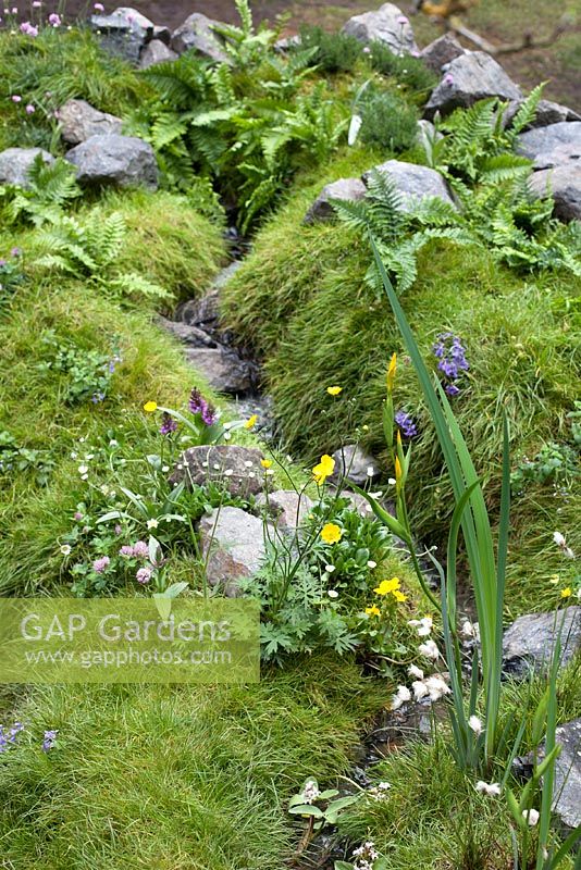 Motor Neurone Disease - a Hebridean Weavers Garden - Grass and rock covered rockery area