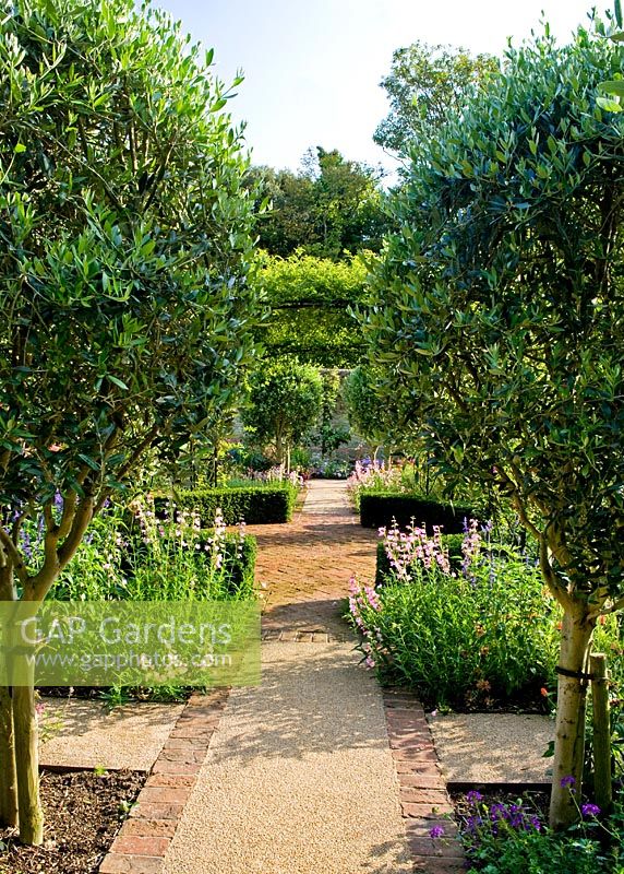 Symmetrical garden with path running through centre and olive trees