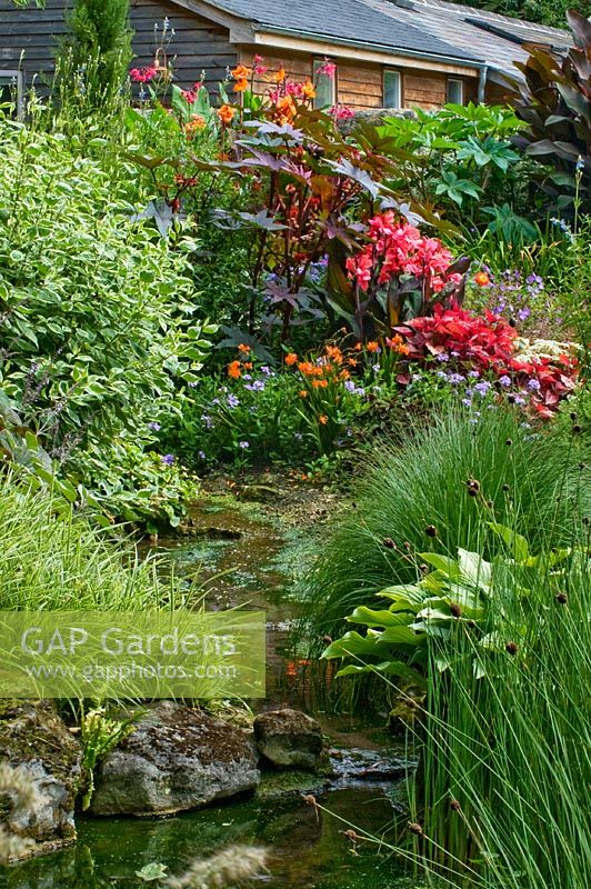 Stream running between late summer borders with tropical planting, August.