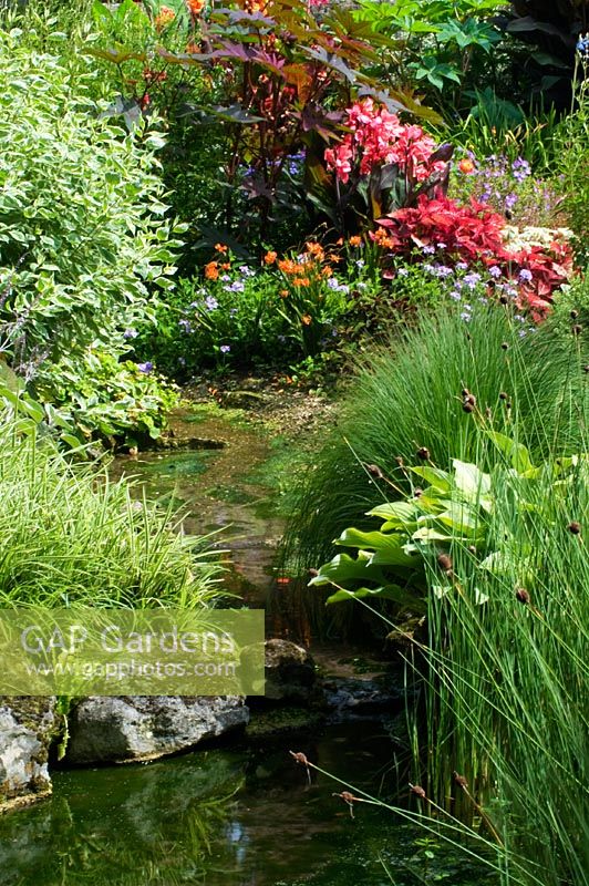 Stream running between late summer border with some tropical planting, August.