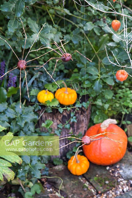 Autumnal display with Conker spiders and Pumpkins