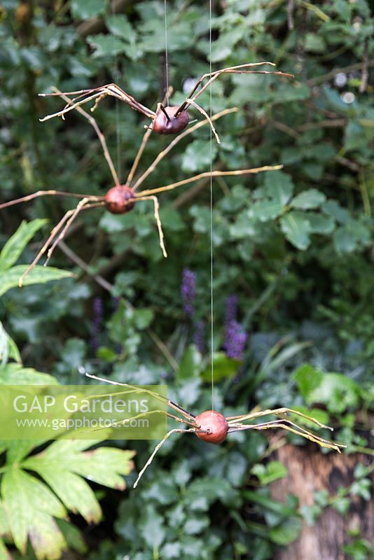 Conker spiders made from Conkers, Willow and Fishing Line