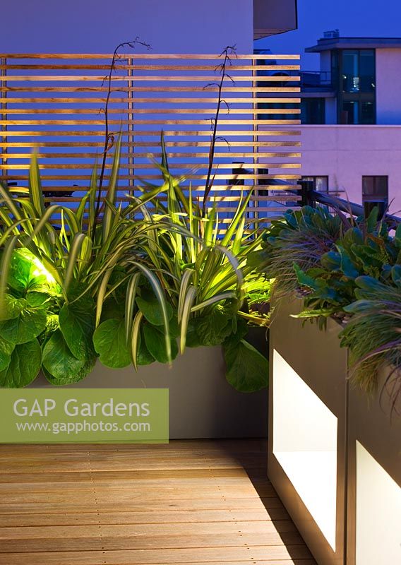 Mixed architectural planting and lighting on city roof terrace 