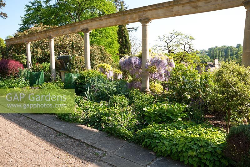 Colonnade along the Great Terrace frames a mixed border including berberis and wisteria.