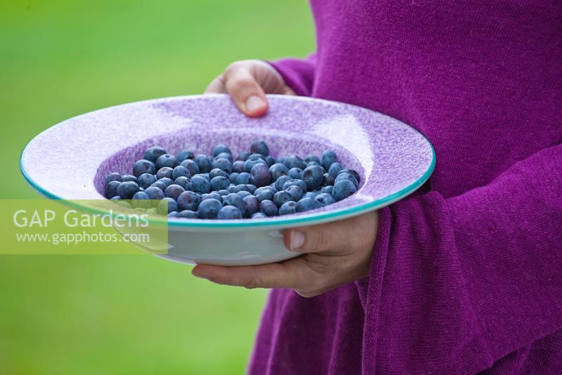 Woman holding a bowl of blueberries