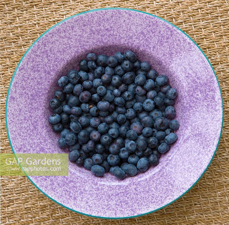 Blueberries in purple bowl