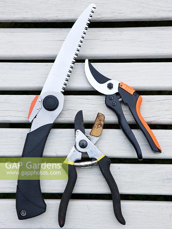 Tools for cutting fruit trees