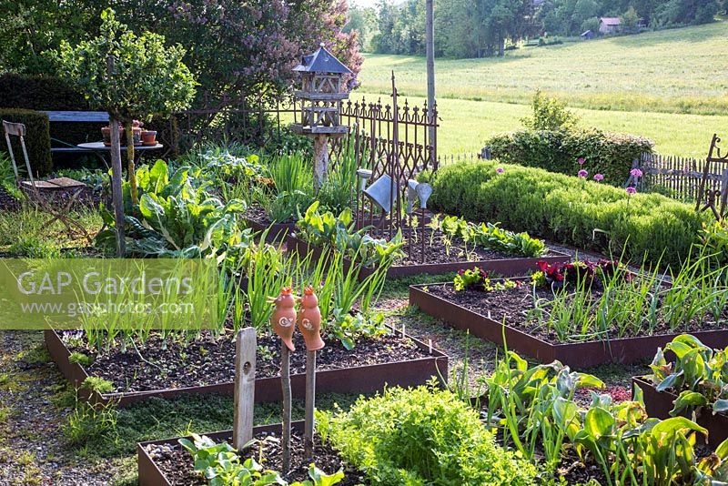 Kitchen garden with corten steel raised vegetable beds 