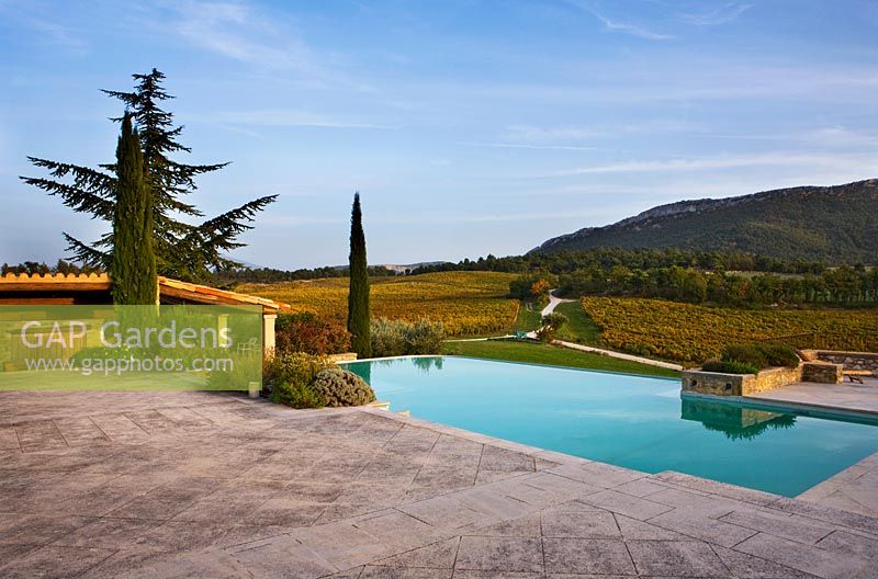The swimming pool with vineyards and view onto Mount Ventoux. Provence, France, Domaine de la Verriere