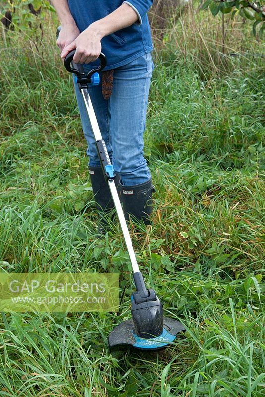 Cutting grass and weeds on an allotment plot with an electric GTech battery operated strimmer