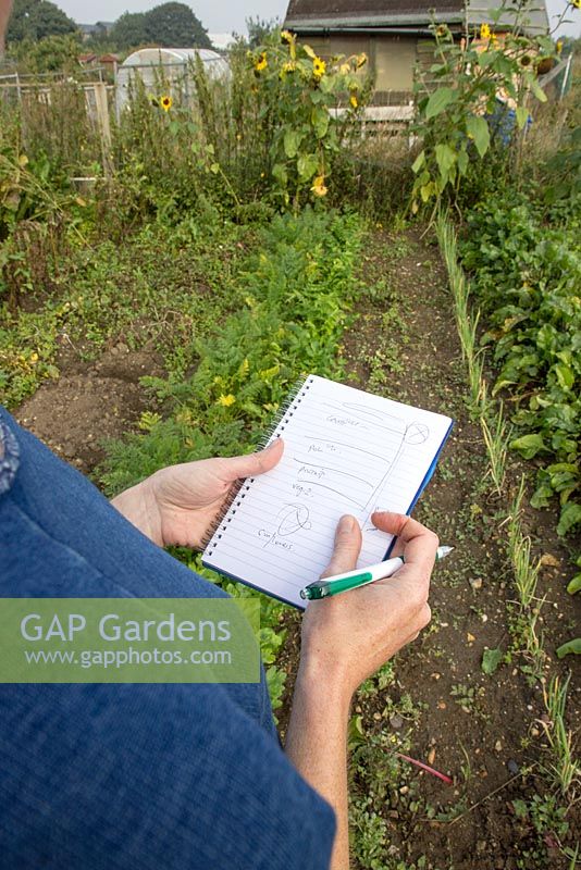 Planning a vegetable plot, making notes