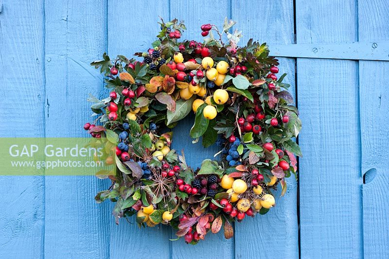 Autumn wreath made from hedgerow plants - malus, crataegus, rosa, rubus fruitcosa