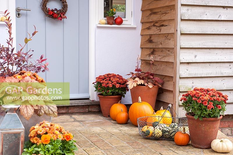 Front door decoration decorated for autumn with squashes, pumpkins,chrysanthemums etc