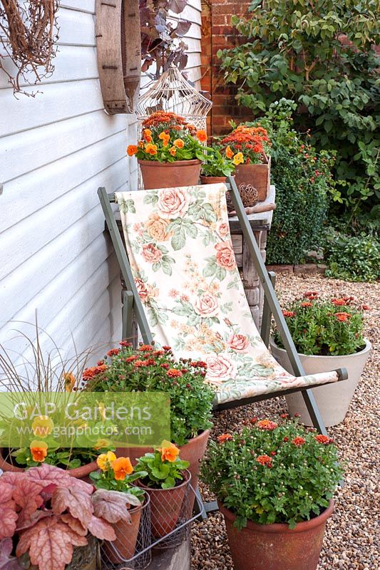 Orange themed Autumn containers with deckchair. Plants include Viola 'Cats Whiskers Orange', Chrysanthemums, Heuchera and Carex
