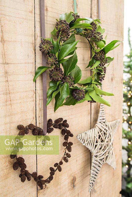 Alnus wreath and ivy wreath hanging on wooden door