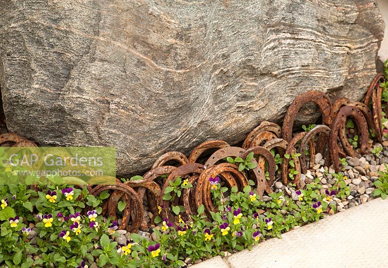 Large boulder with rusty horse shoes and planting of Viola 