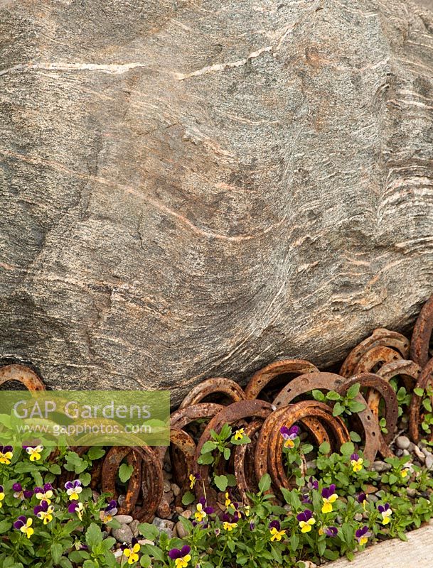 Large boulder with rusty horse shoes and planting of Viola 
