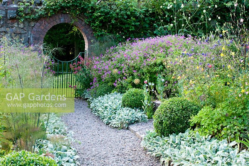 Gravel path leading to a gate and archway in a wall and borders planted with Geranium psilostemon, Stachys byzantina, Aquilegia Foeniculum vulgare and clipped Buxus sempervivum balls 