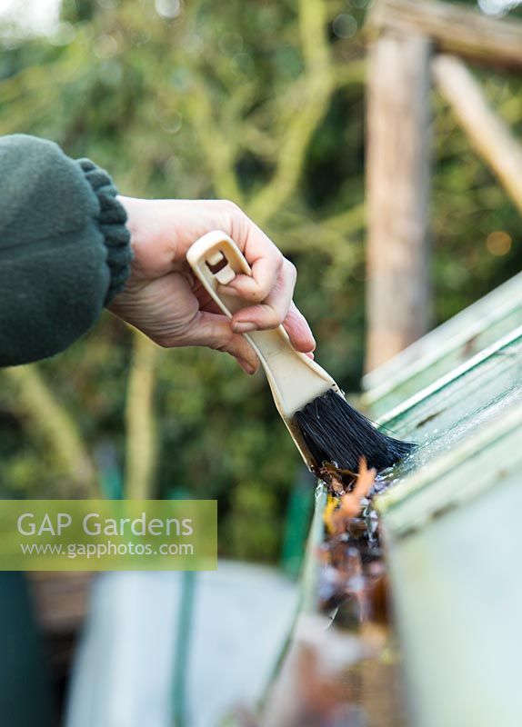 Removing leaves from greenhouse guttering