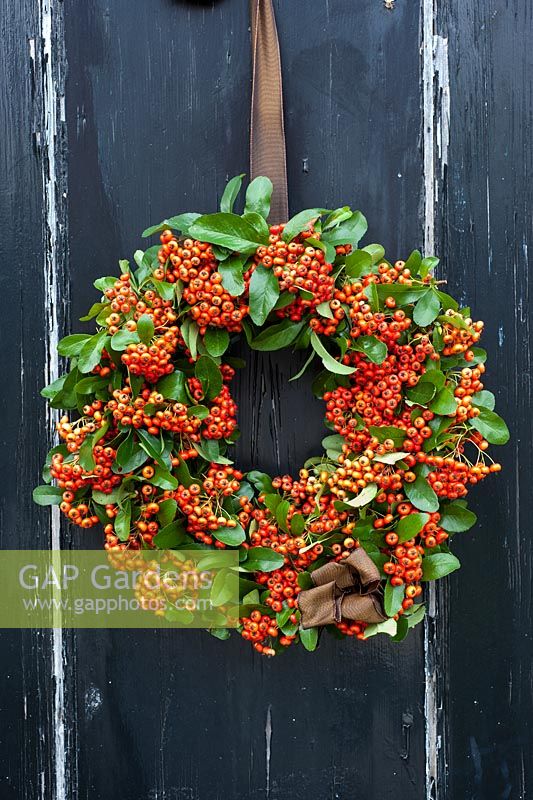 Wreath made from pyracantha berries