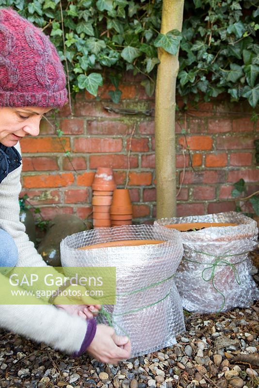 Protecting vulnerable pots with bubble wrap, to prevent damage during Winter