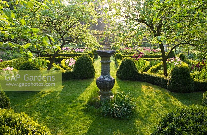 Cerney House Garden. Quince trees in the knot garden with box edged beds and sundial.
