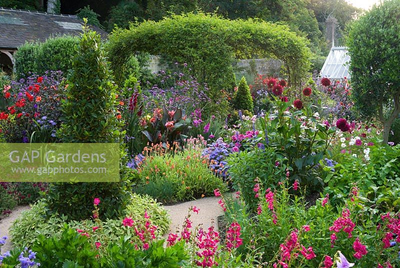 Standard olives, bay pyramids and rose arch clad with Rosa banksiae surrounded by exuberant planting including dahlias, penstemons, osteospermums and Verbena bonariensis. 