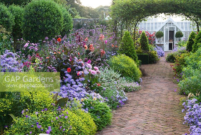 Central brick path in the walled garden is framed by asters, dahlias, euphorbia, Verbena bonariensis and clipped bay pyramids. Alitex greenhouse is seen framed by a central rose arch clothed with Rosa banksiae. 