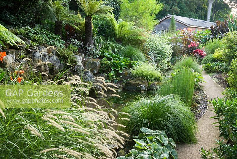 Path runs past a small pond surrounded with foliage planting including tree ferns, pennisetum, ferns, hostas and silvery plectranthus. 